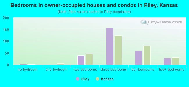 Bedrooms in owner-occupied houses and condos in Riley, Kansas