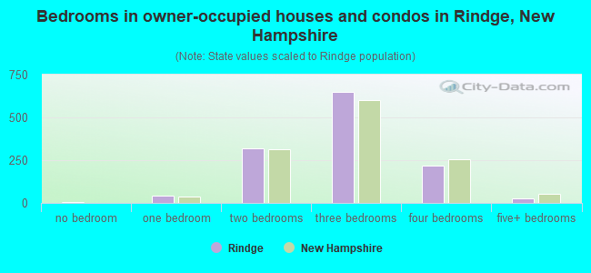 Bedrooms in owner-occupied houses and condos in Rindge, New Hampshire