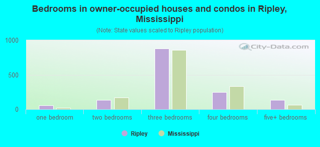 Bedrooms in owner-occupied houses and condos in Ripley, Mississippi