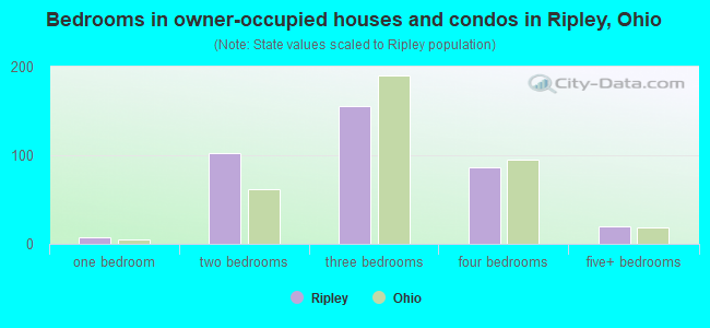 Bedrooms in owner-occupied houses and condos in Ripley, Ohio