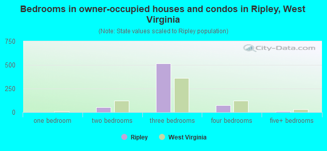 Bedrooms in owner-occupied houses and condos in Ripley, West Virginia