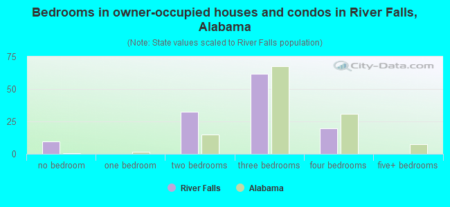 Bedrooms in owner-occupied houses and condos in River Falls, Alabama