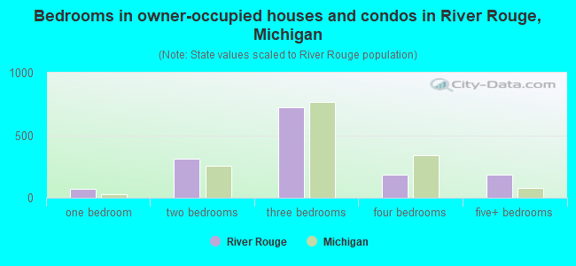 Bedrooms in owner-occupied houses and condos in River Rouge, Michigan