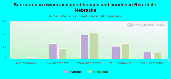 Bedrooms in owner-occupied houses and condos in Riverdale, Nebraska