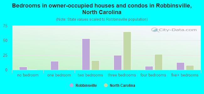 Bedrooms in owner-occupied houses and condos in Robbinsville, North Carolina