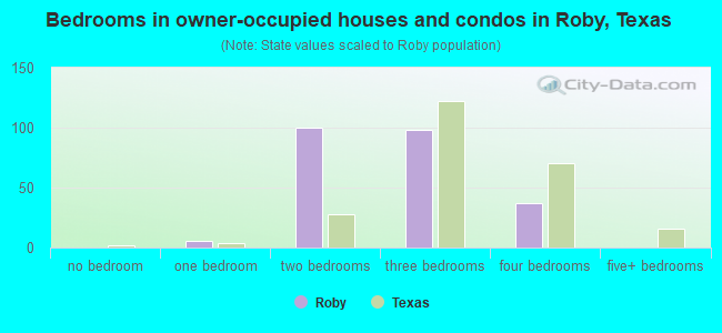 Bedrooms in owner-occupied houses and condos in Roby, Texas