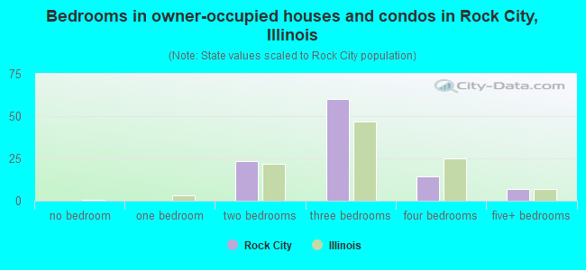 Bedrooms in owner-occupied houses and condos in Rock City, Illinois