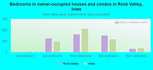 Bedrooms in owner-occupied houses and condos in Rock Valley, Iowa