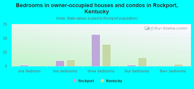 Bedrooms in owner-occupied houses and condos in Rockport, Kentucky