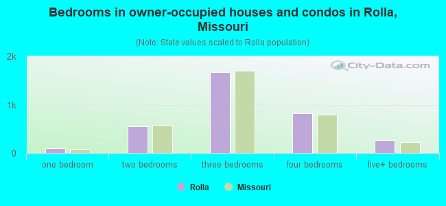 Bedrooms in owner-occupied houses and condos in Rolla, Missouri