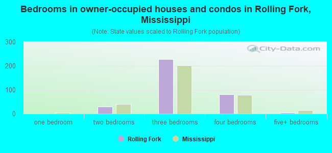 Bedrooms in owner-occupied houses and condos in Rolling Fork, Mississippi