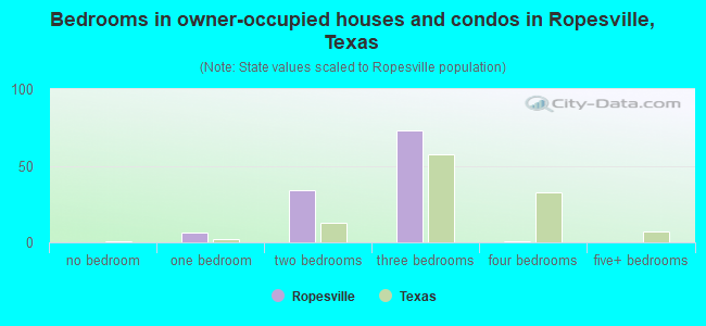 Bedrooms in owner-occupied houses and condos in Ropesville, Texas