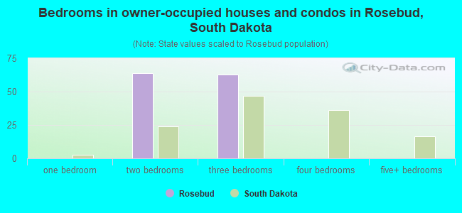 Bedrooms in owner-occupied houses and condos in Rosebud, South Dakota