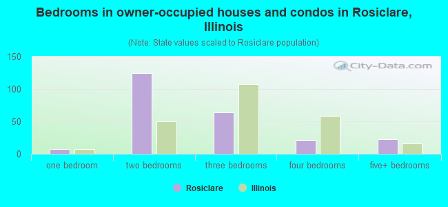 Bedrooms in owner-occupied houses and condos in Rosiclare, Illinois