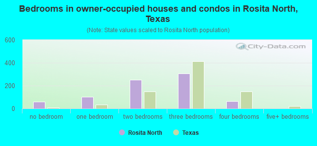 Bedrooms in owner-occupied houses and condos in Rosita North, Texas