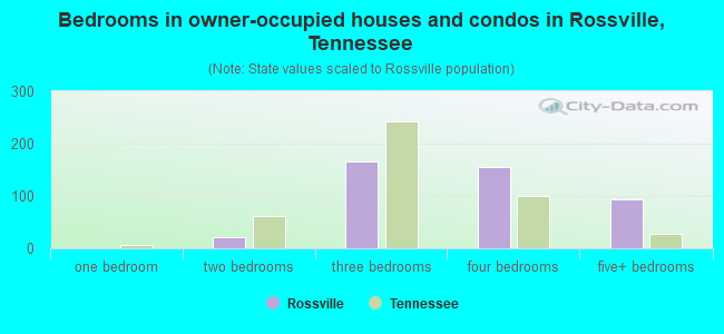 Bedrooms in owner-occupied houses and condos in Rossville, Tennessee