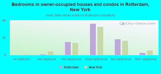 Bedrooms in owner-occupied houses and condos in Rotterdam, New York