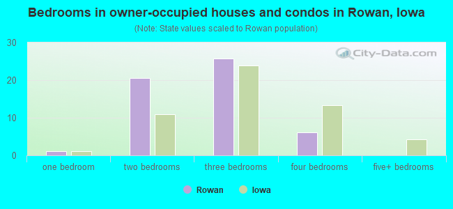 Bedrooms in owner-occupied houses and condos in Rowan, Iowa