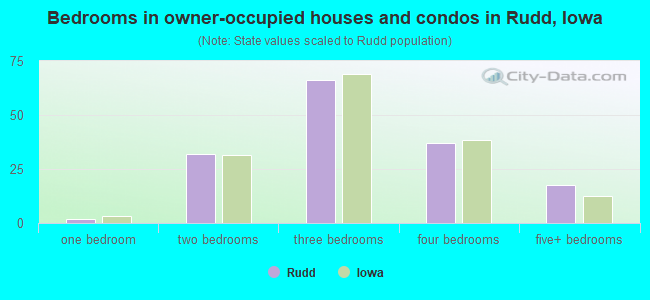 Bedrooms in owner-occupied houses and condos in Rudd, Iowa