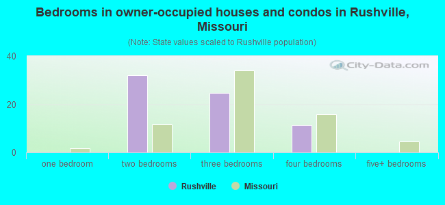 Bedrooms in owner-occupied houses and condos in Rushville, Missouri
