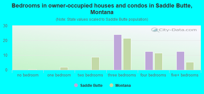 Bedrooms in owner-occupied houses and condos in Saddle Butte, Montana