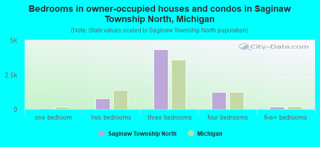 Bedrooms in owner-occupied houses and condos in Saginaw Township North, Michigan