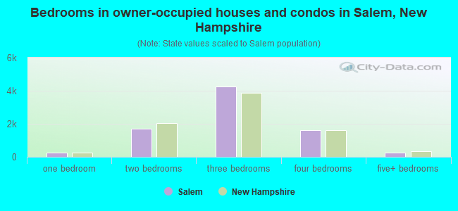 Bedrooms in owner-occupied houses and condos in Salem, New Hampshire