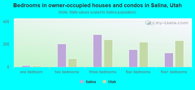 Bedrooms in owner-occupied houses and condos in Salina, Utah