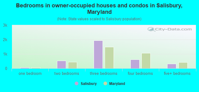 Bedrooms in owner-occupied houses and condos in Salisbury, Maryland