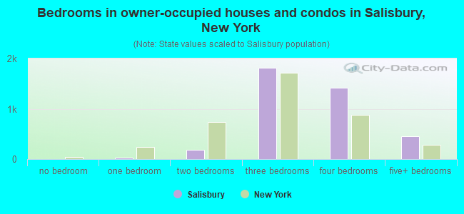 Bedrooms in owner-occupied houses and condos in Salisbury, New York