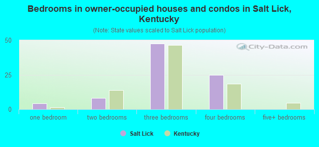 Bedrooms in owner-occupied houses and condos in Salt Lick, Kentucky