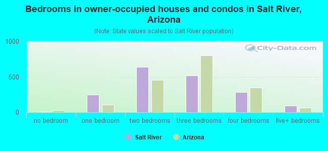 Bedrooms in owner-occupied houses and condos in Salt River, Arizona