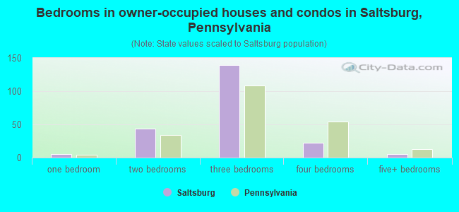 Bedrooms in owner-occupied houses and condos in Saltsburg, Pennsylvania