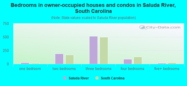 Bedrooms in owner-occupied houses and condos in Saluda River, South Carolina