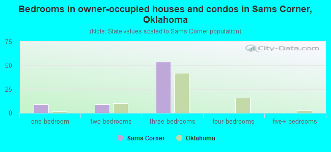 Bedrooms in owner-occupied houses and condos in Sams Corner, Oklahoma