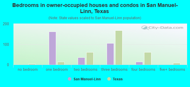 Bedrooms in owner-occupied houses and condos in San Manuel-Linn, Texas