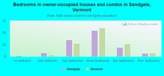 Bedrooms in owner-occupied houses and condos in Sandgate, Vermont