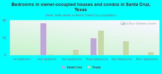 Bedrooms in owner-occupied houses and condos in Santa Cruz, Texas