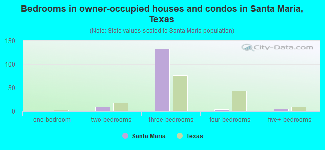 Bedrooms in owner-occupied houses and condos in Santa Maria, Texas
