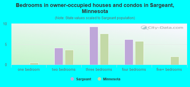 Bedrooms in owner-occupied houses and condos in Sargeant, Minnesota