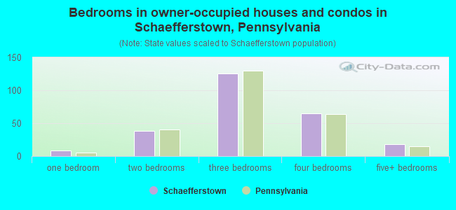 Bedrooms in owner-occupied houses and condos in Schaefferstown, Pennsylvania