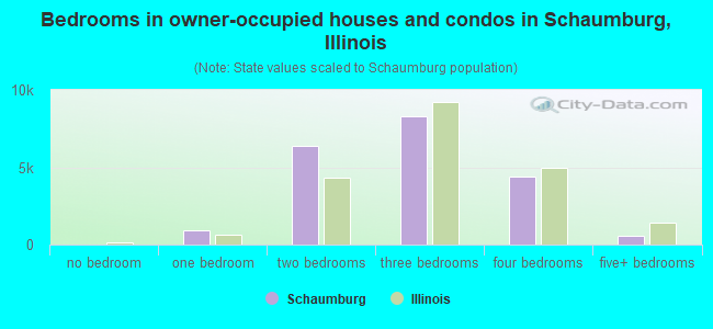 Bedrooms in owner-occupied houses and condos in Schaumburg, Illinois