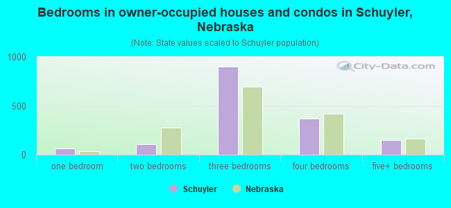 Bedrooms in owner-occupied houses and condos in Schuyler, Nebraska