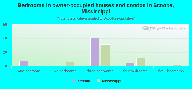 Bedrooms in owner-occupied houses and condos in Scooba, Mississippi