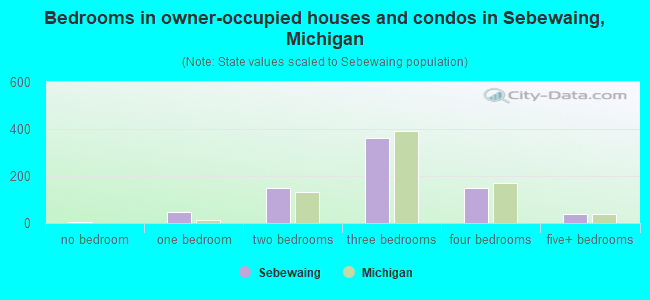 Bedrooms in owner-occupied houses and condos in Sebewaing, Michigan