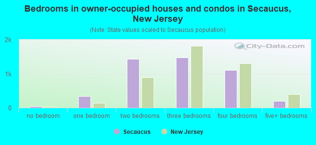 Bedrooms in owner-occupied houses and condos in Secaucus, New Jersey