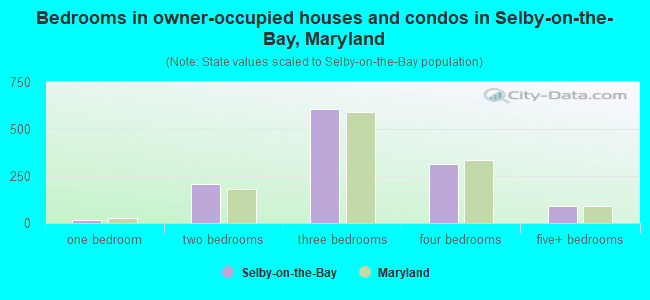 Bedrooms in owner-occupied houses and condos in Selby-on-the-Bay, Maryland