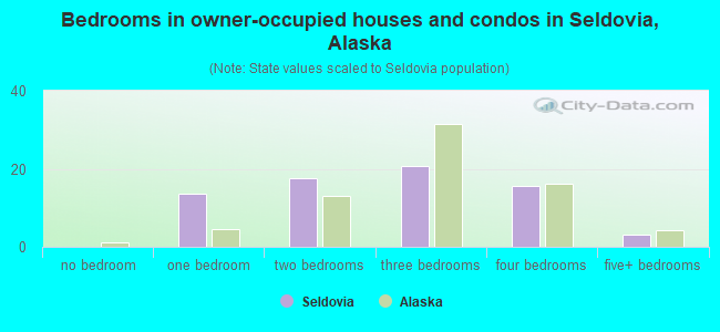 Bedrooms in owner-occupied houses and condos in Seldovia, Alaska