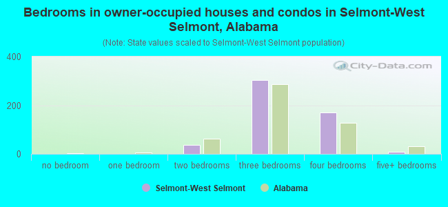 Bedrooms in owner-occupied houses and condos in Selmont-West Selmont, Alabama
