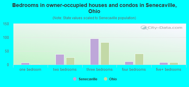 Bedrooms in owner-occupied houses and condos in Senecaville, Ohio